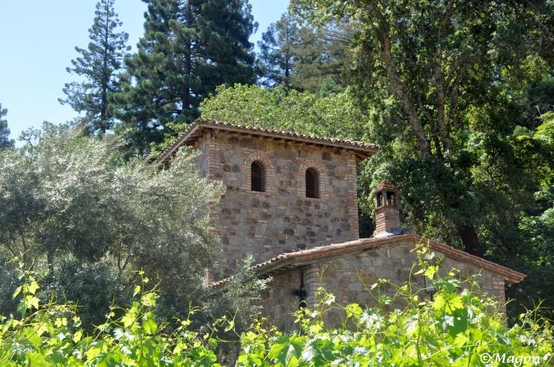 Castello Di Amorosa: каменная башня среди виноградников